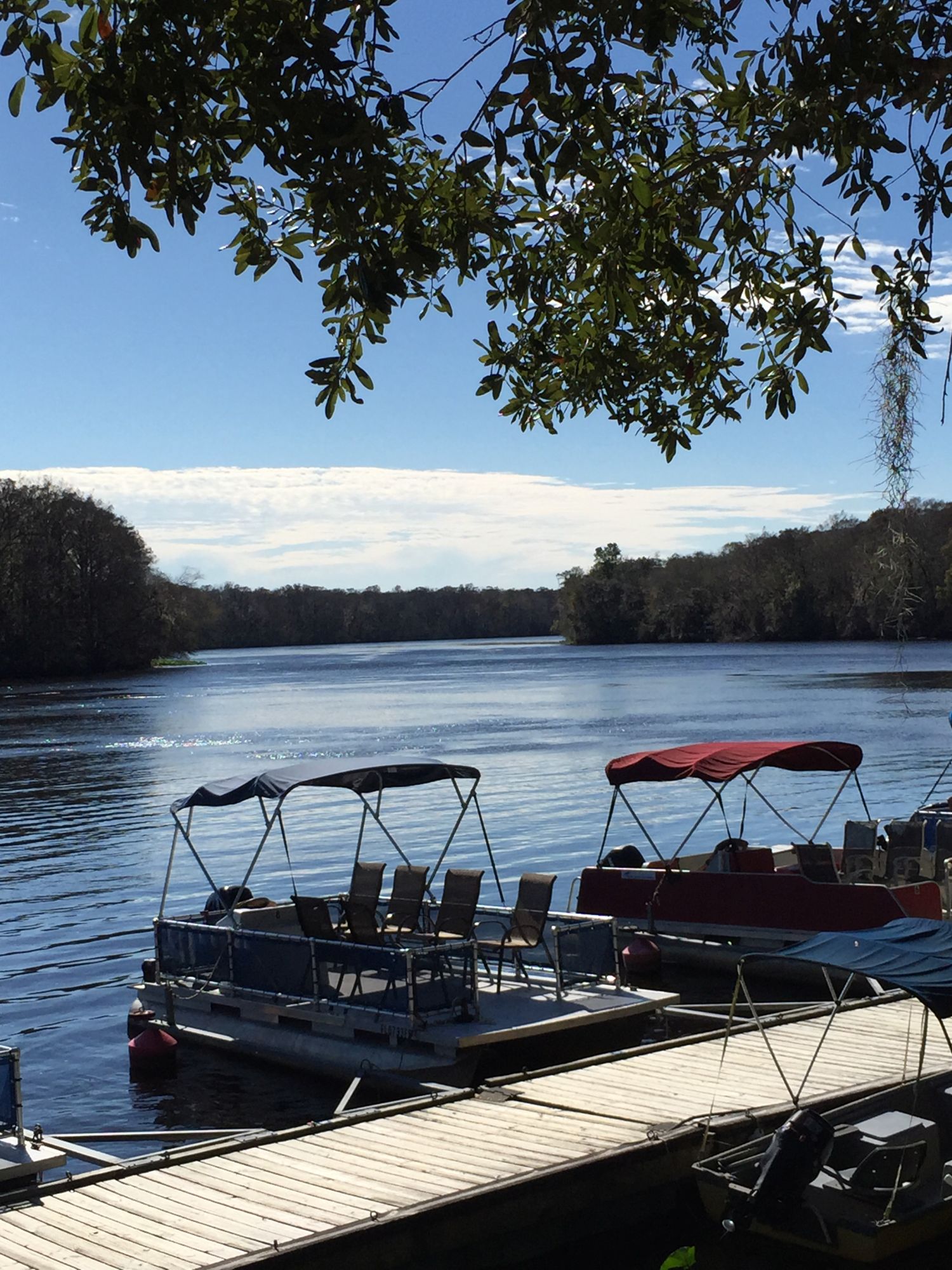 Boat Rentals on Suwannee River in Old Town Florida